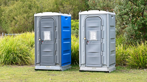 Best Portable Toilets with Baby Changing Stations  in Mayer, AZ